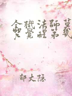 全职法师莫凡禁咒觉醒第几章