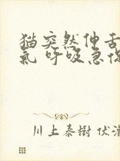 猫突然伸舌头喘气 呼吸急促