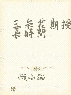 玉米花期授粉多长时间