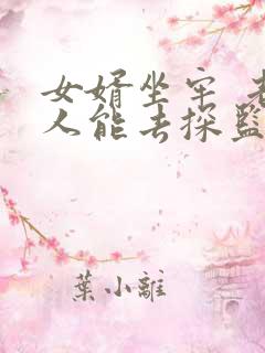 女婿坐牢 老丈人能去探监吗