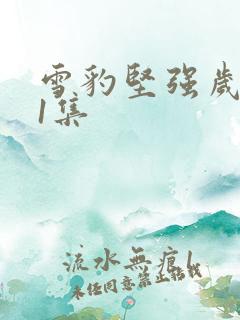 雪豹坚强岁月11集