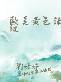 欧美黄色录像一级