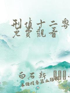 刑侦十二粤语版免费观看
