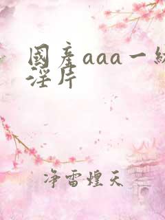 国产aaa一级淫片