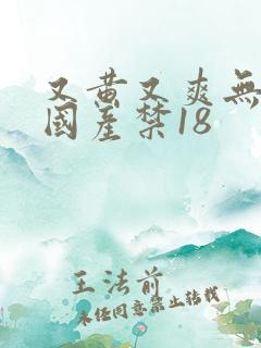 又黄又爽无遮挡国产禁18