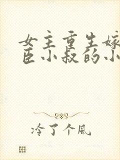 女主重生嫁给权臣小叔的小说