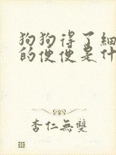 狗狗得了细小拉的便便是什么样的第一天
