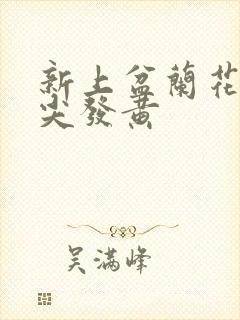 新上盆兰花从叶尖发黄