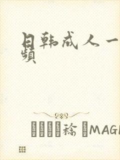 日韩成人一级视频