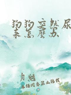 狗狗突然尿不出来怎么办