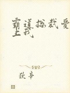 霸道总裁爱上我上我