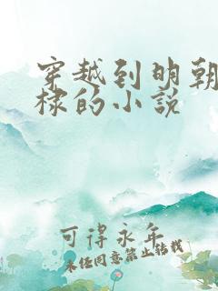 穿越到明朝成朱棣的小说