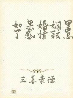 如果婚姻里没有了感情该怎么继续
