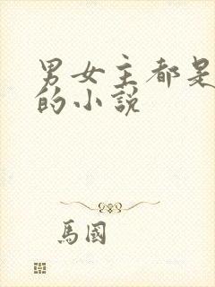 男女主都是律师的小说