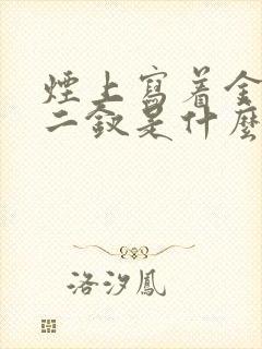 烟上写着金陵十二钗是什么烟