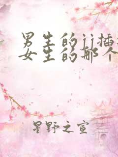 男生的jj插进女生的那个里