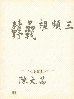 精品视频三级打野战