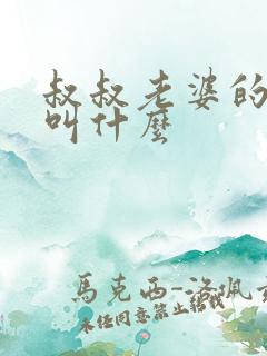 叔叔老婆的弟弟叫什么