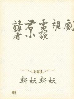 请君电视剧的原著小说