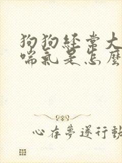 狗狗经常大口的喘气是怎么回事