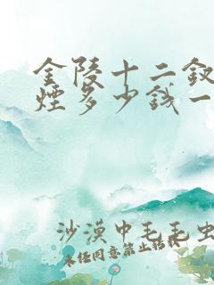 金陵十二钗银钗烟多少钱一盒