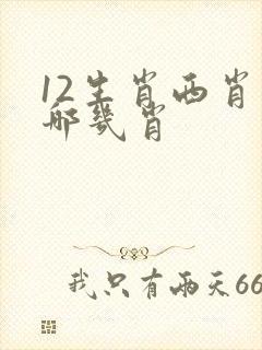 12生肖西肖是哪几肖