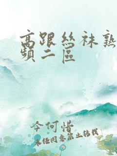 高跟丝袜熟女视频二区