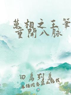 万相之王笔趣阁 重开八脉