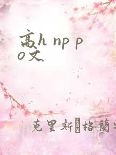 高h np po文