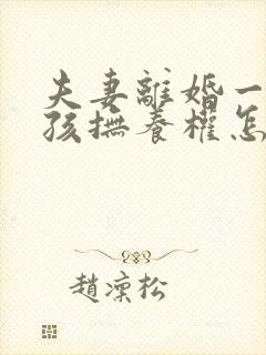 夫妻离婚一个小孩抚养权怎么判