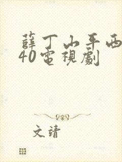 薛丁山平西全集40电视剧