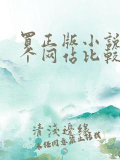 买正版小说去哪个网站比较好