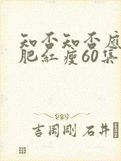知否知否应是绿肥红瘦60集
