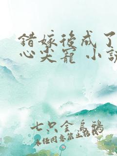 错嫁后成了总裁心尖宠 小说 错嫁后成了总裁心尖宠 小说