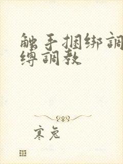 触手捆绑调教紧缚调教