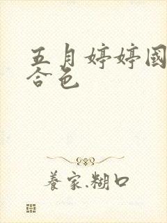五月婷婷国产综合色