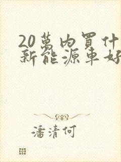 20万内买什么新能源车好