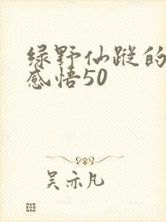 绿野仙踪的阅读感悟50