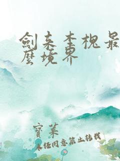 剑来李槐最后什么境界