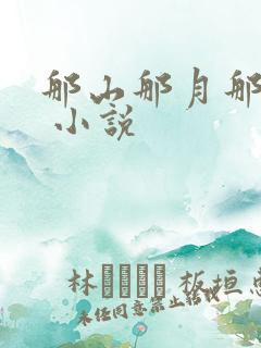 那山那月那哨所 小说