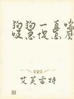 狗狗一直喘气呼吸急促怎么办