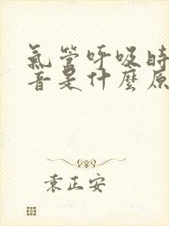 气管呼吸时有鸣音是什么原因