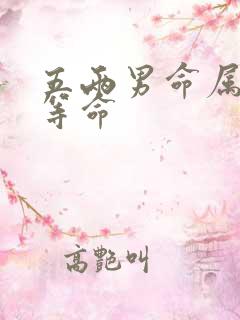 五两男命属于几等命