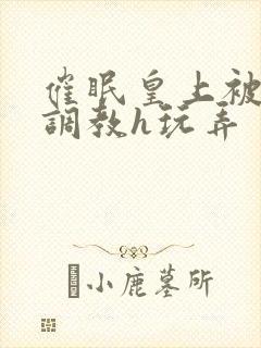 催眠皇上被当众调教h玩弄