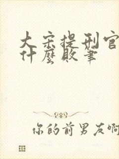 大宋提刑官2为什么败笔