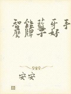智能蓝牙手表什么牌子好