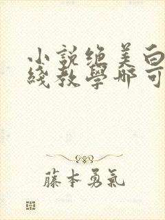 小说绝美白莲在线教学哪可以找到