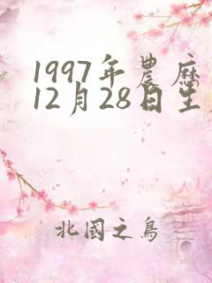 1997年农历12月28日生辰八字