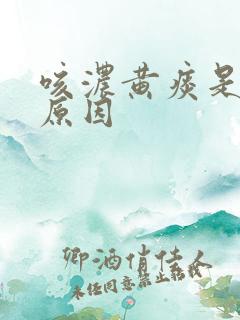 咳浓黄痰是什么原因