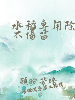 水稻专用除草剂不伤苗